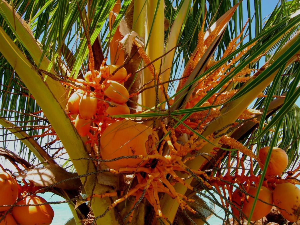 Amoa Resort Savaii Tuasivi Luaran gambar